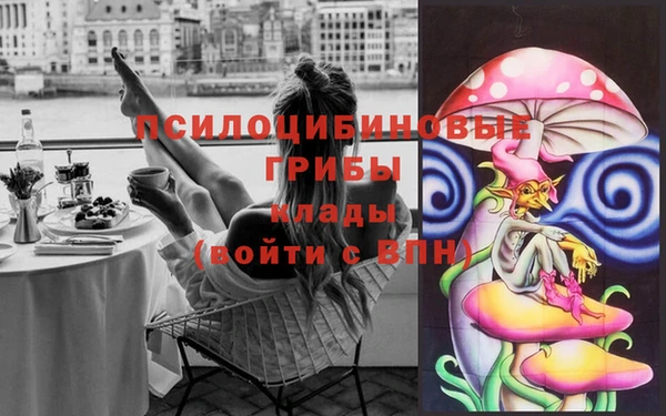 крисы Нея