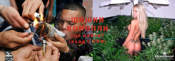 крисы Нея