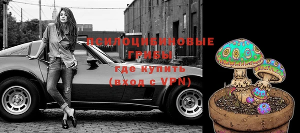 соль ск Надым
