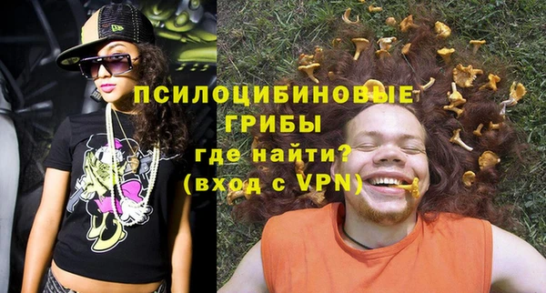 крисы Нея