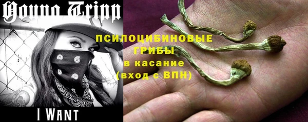 тгк Нефтекумск