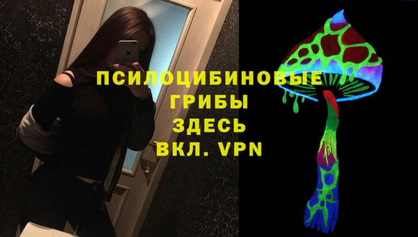тгк Нефтекумск