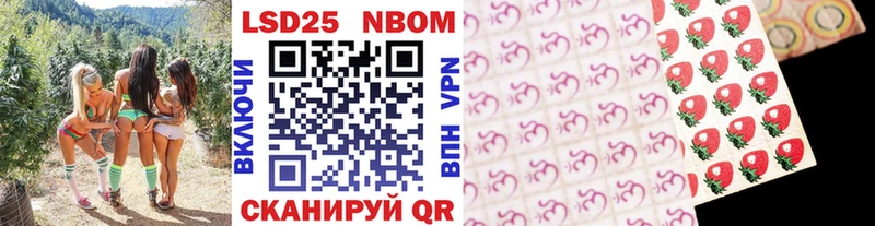 Купить закладки  Нижний Новгород  Наркотические марки 1,8мг 