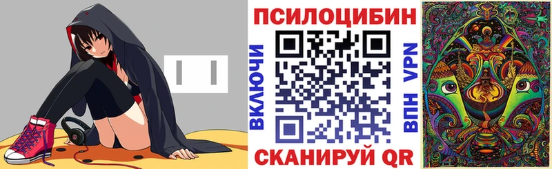 Купить  Нижний Новгород  Галлюциногенные грибы мицелий 